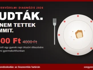 Szinte üres pöttyös gyerektányér egyetlen kenyérszelettel, mellette a felirat: Tudták. És nem tettek semmit. 1500 Ft a 4000 Ft helyett jutott egy gyerek napi étkezésére egy állami gyermekotthonban.