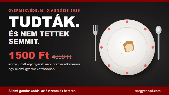 Szinte üres pöttyös gyerektányér egyetlen kenyérszelettel, mellette a felirat: Tudták. És nem tettek semmit. 1500 Ft a 4000 Ft helyett jutott egy gyerek napi étkezésére egy állami gyermekotthonban.